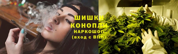 ПСИЛОЦИБИНОВЫЕ ГРИБЫ Корсаков