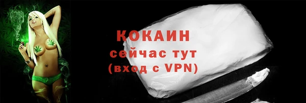 ПСИЛОЦИБИНОВЫЕ ГРИБЫ Корсаков