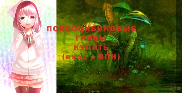 ПСИЛОЦИБИНОВЫЕ ГРИБЫ Корсаков
