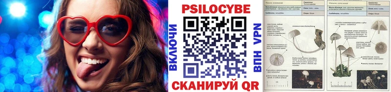 Галлюциногенные грибы Psilocybine cubensis  Купить  Павловская 